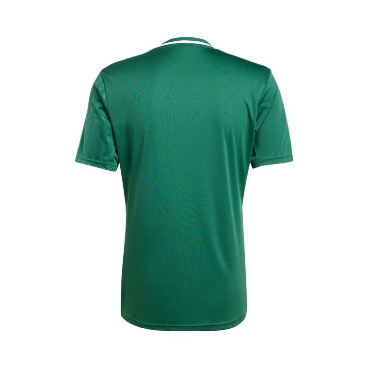 Adidas Campeon 25 Jersey 'Dark Green/White'