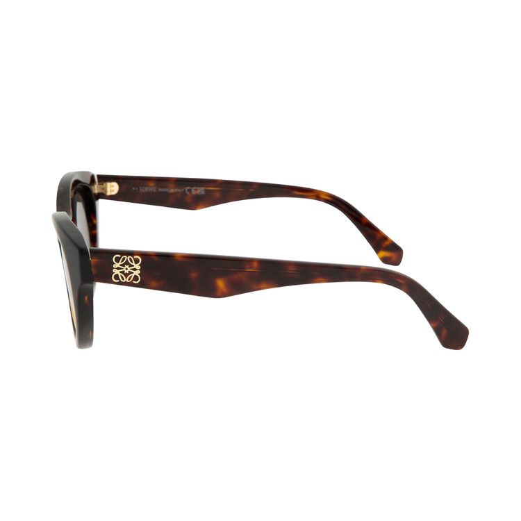 Loewe Anagram Sunglasses 'Dark Havana/Smoke'