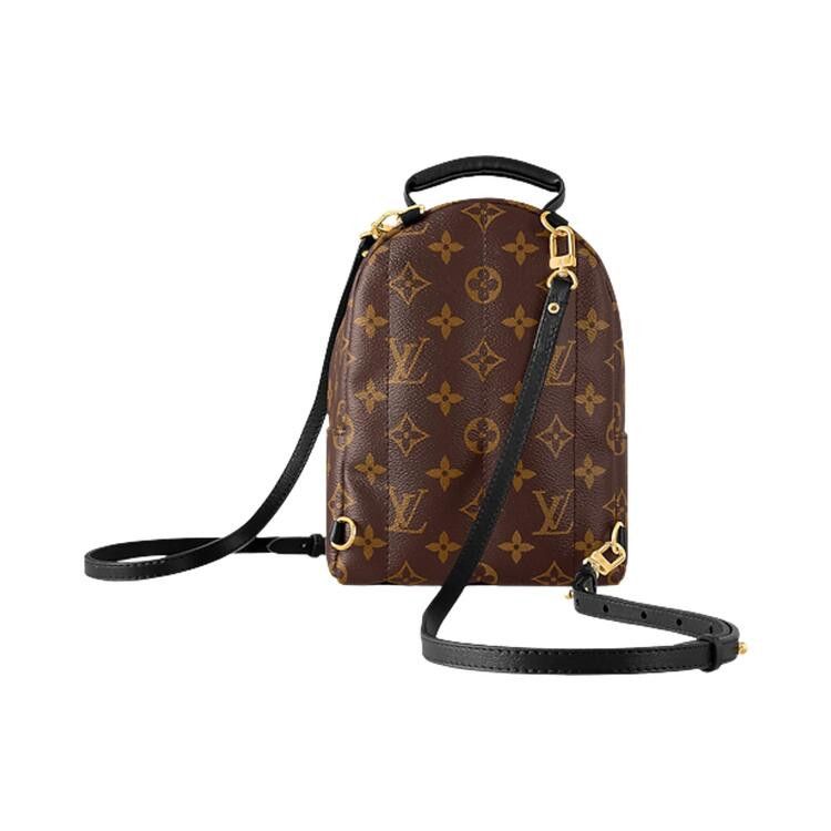 Louis Vuitton Palm Springs Mini 'Brown Monogram Canvas'