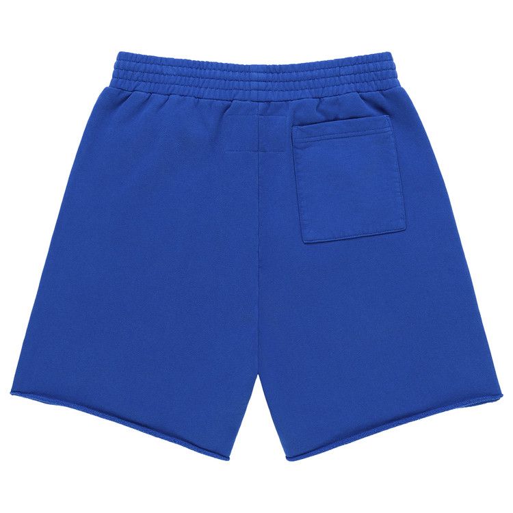 Sp5der Varsity Web Sweatshort 'Blue'