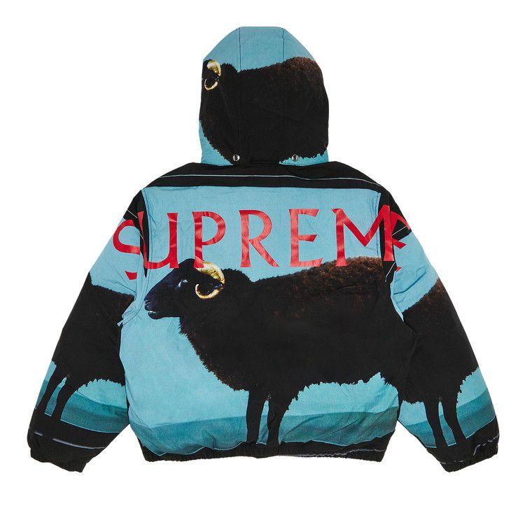 Supreme x Damien Hirst Down Puffer Jacket 'Black'