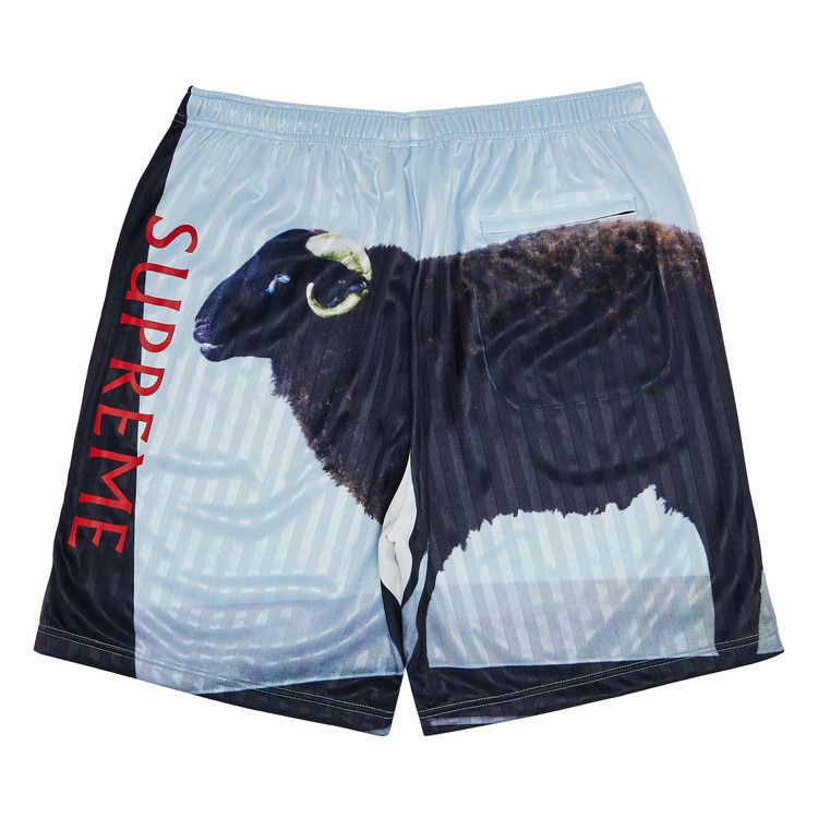 Supreme x Damien Hirst Soccer Short 'Black'