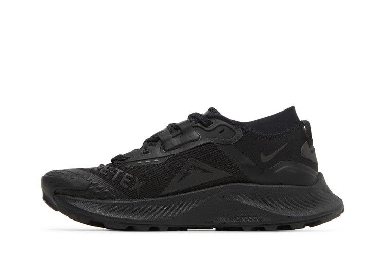 Nike Wmns Pegasus Trail 3 GTX 'Triple Black'