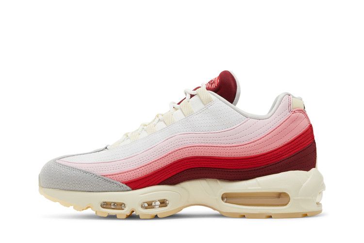 Nike Air Max 95 'Anatomy Of Air'