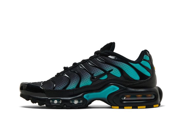 Nike Air Max Plus 'Black Dusty Cactus'