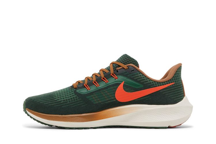 Hola Lou x Nike Air Zoom Pegasus 39 'A.I.R.'