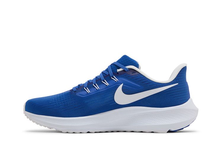 Nike Air Zoom Pegasus 39 'Duke'
