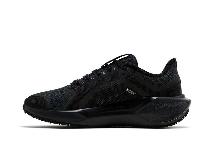 Nike Wmns Air Zoom Pegasus 41 GORE-TEX 'Black Anthracite'