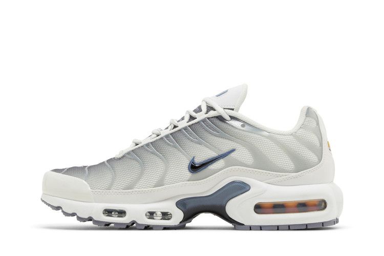 Nike Wmns Air Max Plus 'Smoke Grey Ashen Slate'