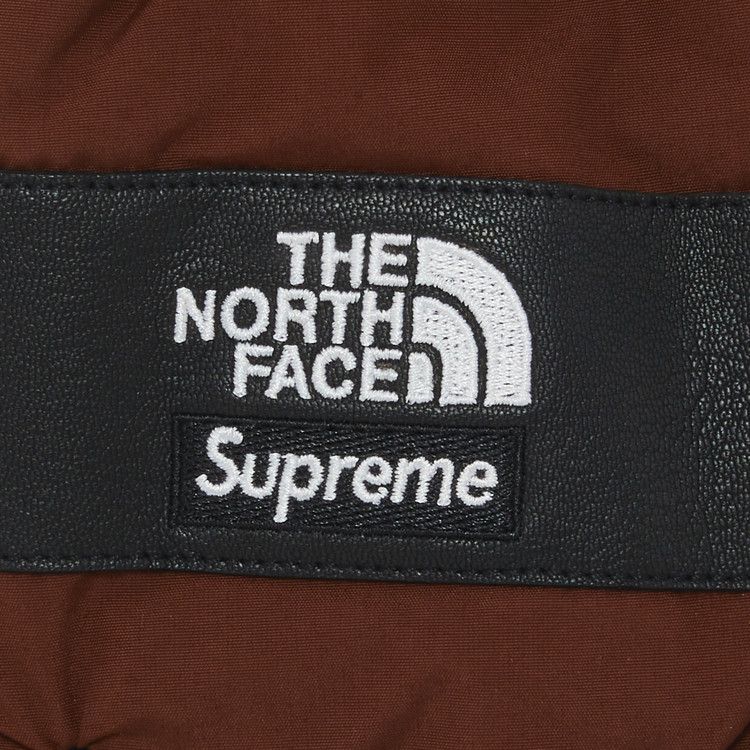 Supreme x The North Face Steep Tech Gloves 'Brown'