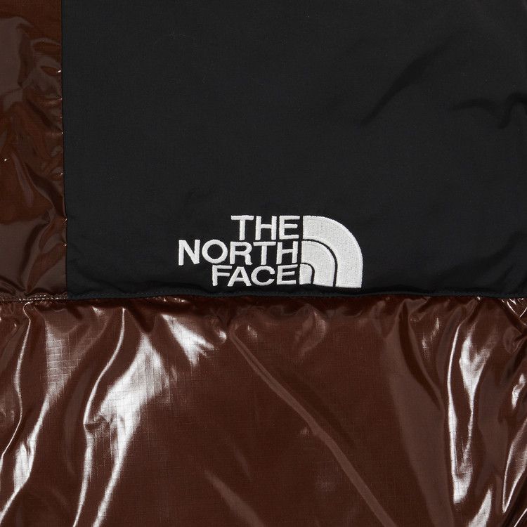 Supreme x The North Face 700-Fill Down Parka 'Brown'