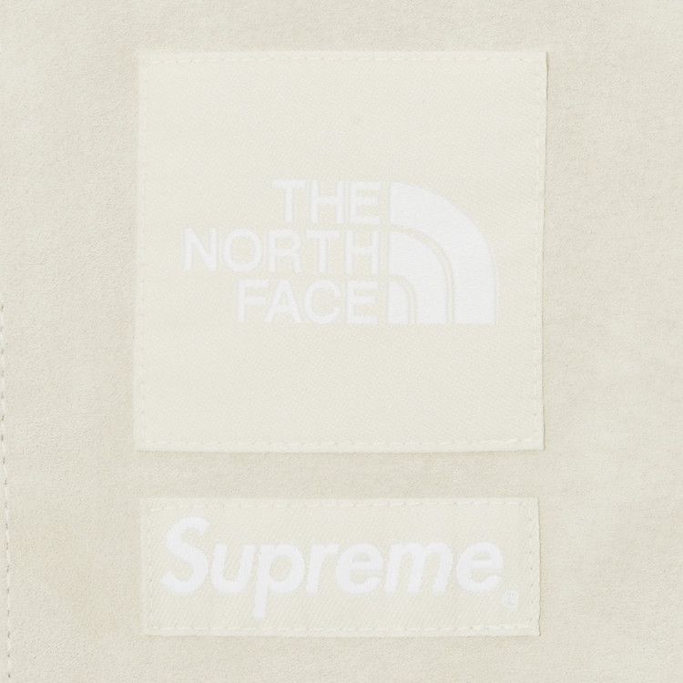 Supreme x The North Face Suede Mountain Pant 'Stone'