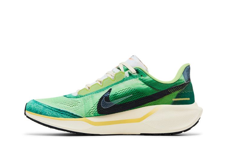Nike Air Zoom Pegasus 41 'International Running Pack'