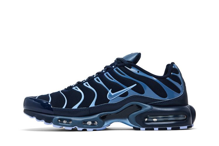 Nike Air Max Plus 'Obsidian Aluminum'
