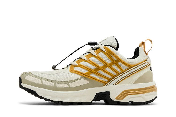 Salomon ACS Pro GORE-TEX 'Icicle Antelope'