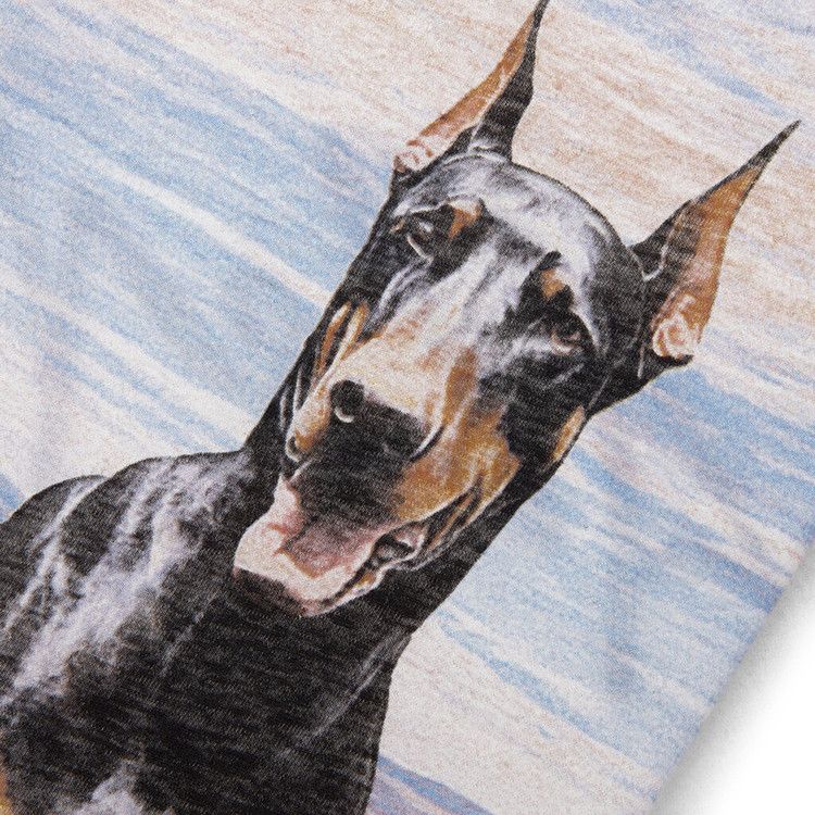 Represent Clo Western Dobermans T-Shirt 'Flat White'