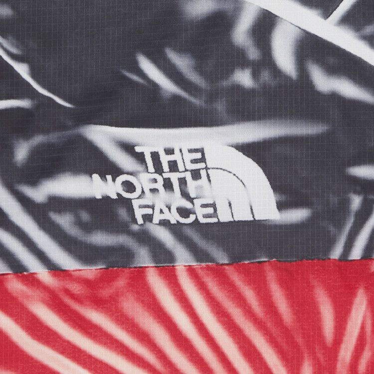 Supreme x The North Face Printed Nuptse Jacket 'Red'