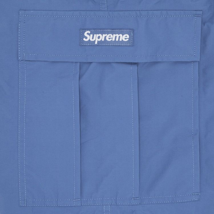Supreme GORE-TEX PACLITE Cargo Pant 'Blue'