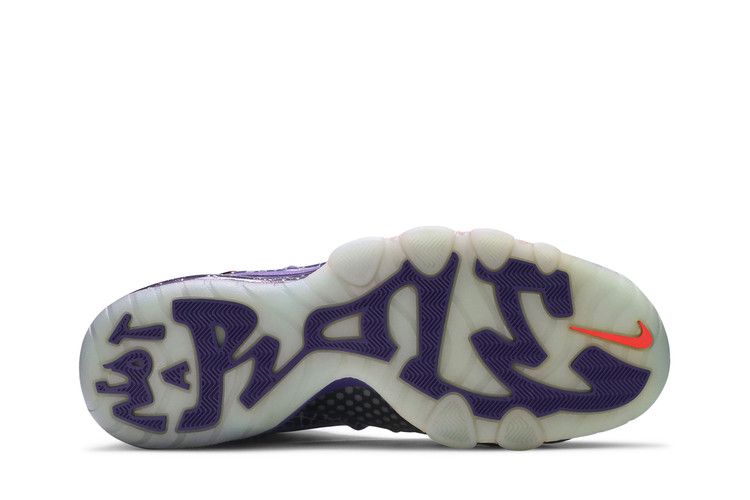 Nike Barkley Posite Max 'Phoenix Suns'