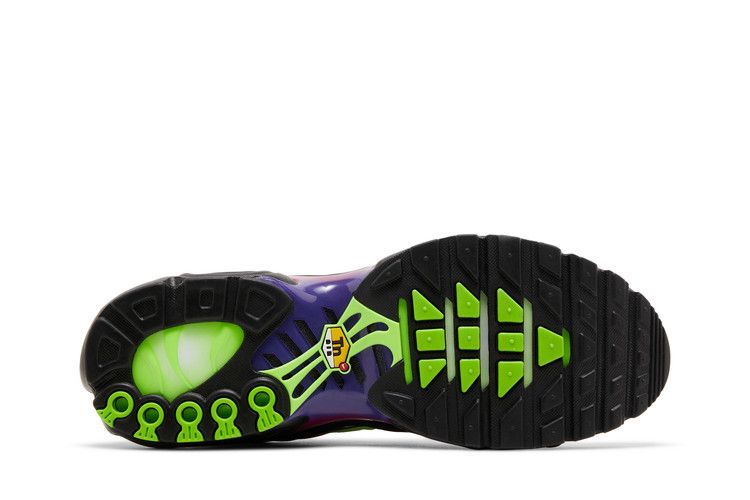 Nike Air Max Plus 'Rebellious Air'