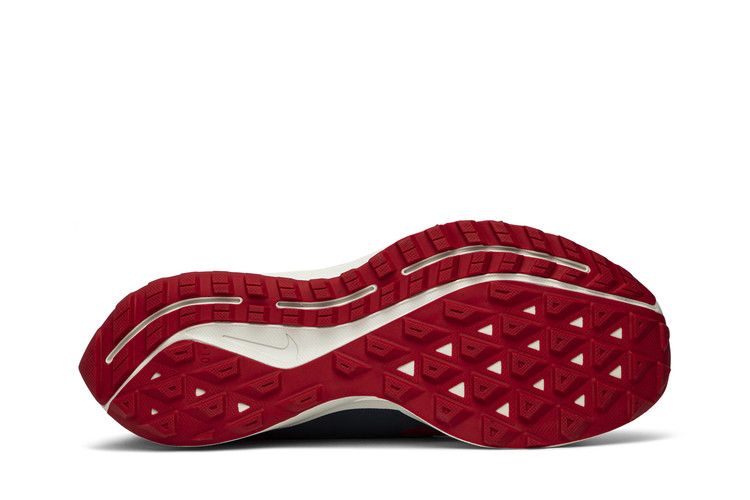 Gyakusou x Nike Air Zoom Pegasus 36 Trail 'Red'