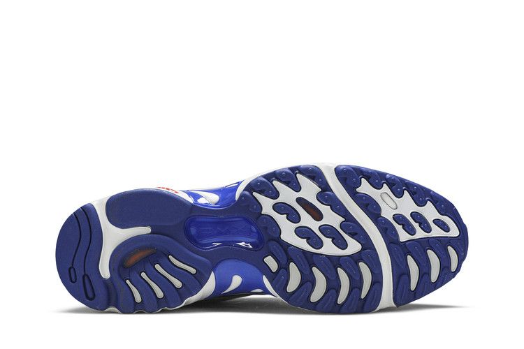 Reebok Daytona DMX 'Blue Move'