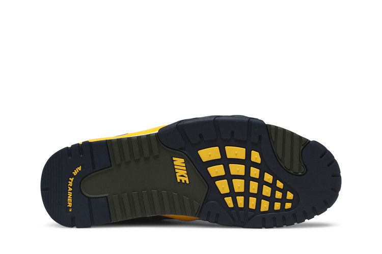 Nike Air Trainer 3 Retro 'Viotech' 2020