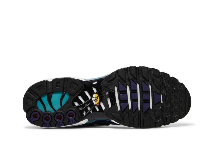 Nike Air Max Plus 'Grape'