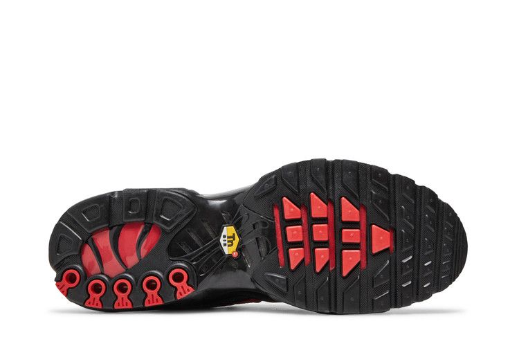 Nike Air Max Plus 'Bred Metal Mesh'