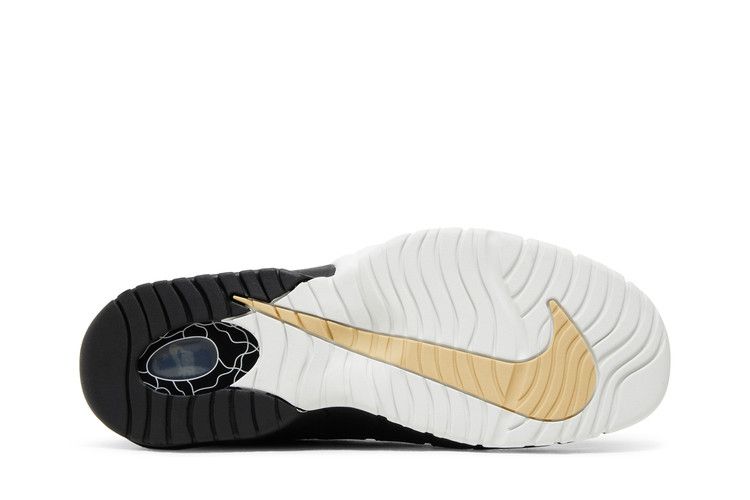Nike Air Max Penny 1 'Rattan'