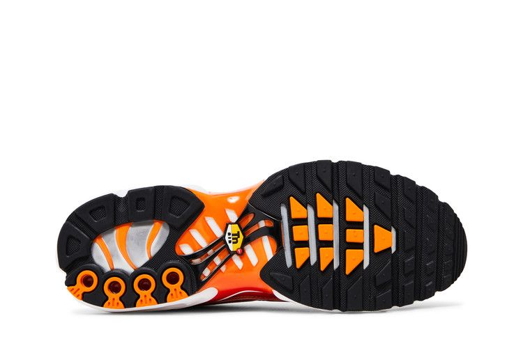 Nike Men's Air Max Plus 'Light Photography - Sport Red'