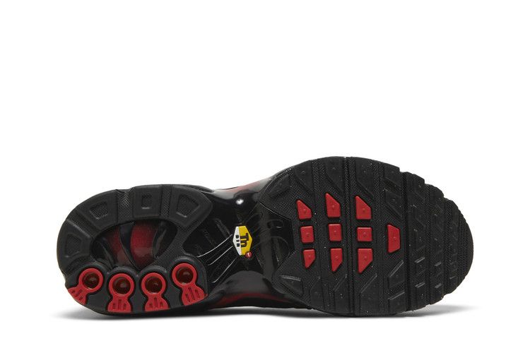 Nike Air Max Plus GS 'Bred Gradient'
