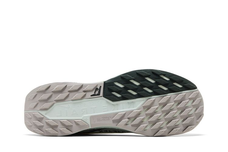 Nike Pegasus Trail 5 GORE-TEX 'Light Silver Sequoia'