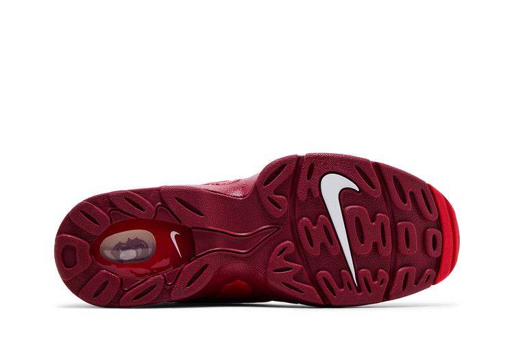 Nike Air DT Max '96 'Love Letter to Connie'
