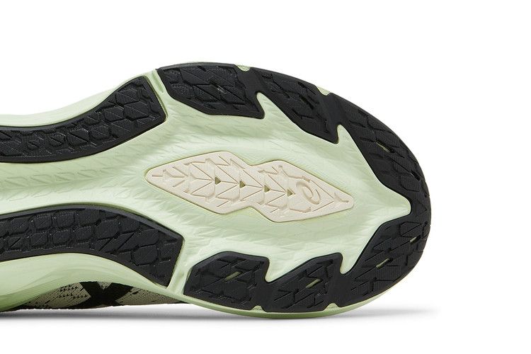 Asics Novablast 2 'Birch Black'