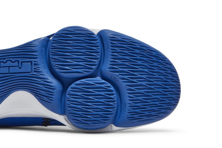 Nike LeBron Witness 5 'Game Royal'