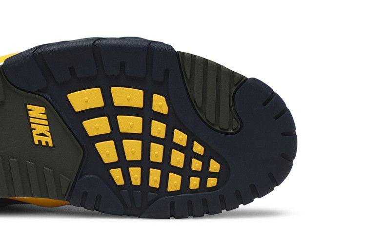 Nike Air Trainer 3 Retro 'Viotech' 2020