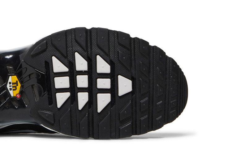 Nike Air Max Plus 'Black Metallic Silver'