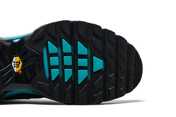 Nike Air Max Plus 'Black Dusty Cactus'