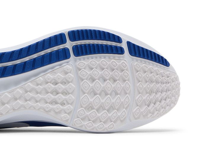 Nike Air Zoom Pegasus 39 'Duke'