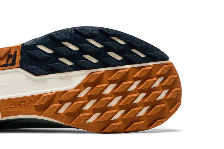 Nike Pegasus Trail 5 GORE-TEX 'Jade Horizon'