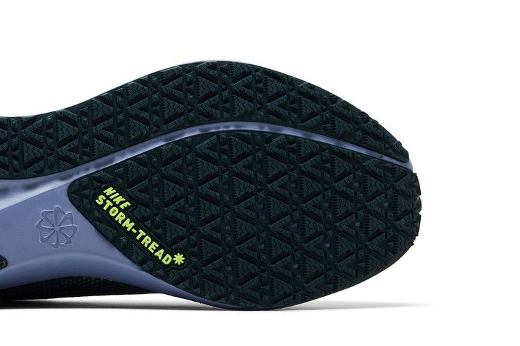Nike Air Zoom Pegasus 41 GORE-TEX 'Cannon Obsidian'