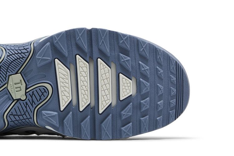 Nike Wmns Air Max Plus Drift 'Ashen Slate'