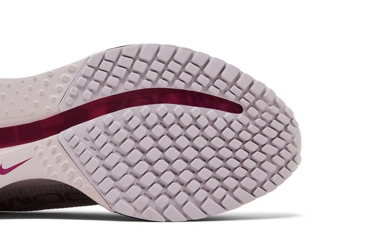 Nike Wmns Pegasus Premium 'Silt Red Particle Rose'