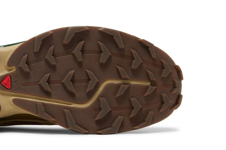 Salomon XT-6 'Rubber Lizard'